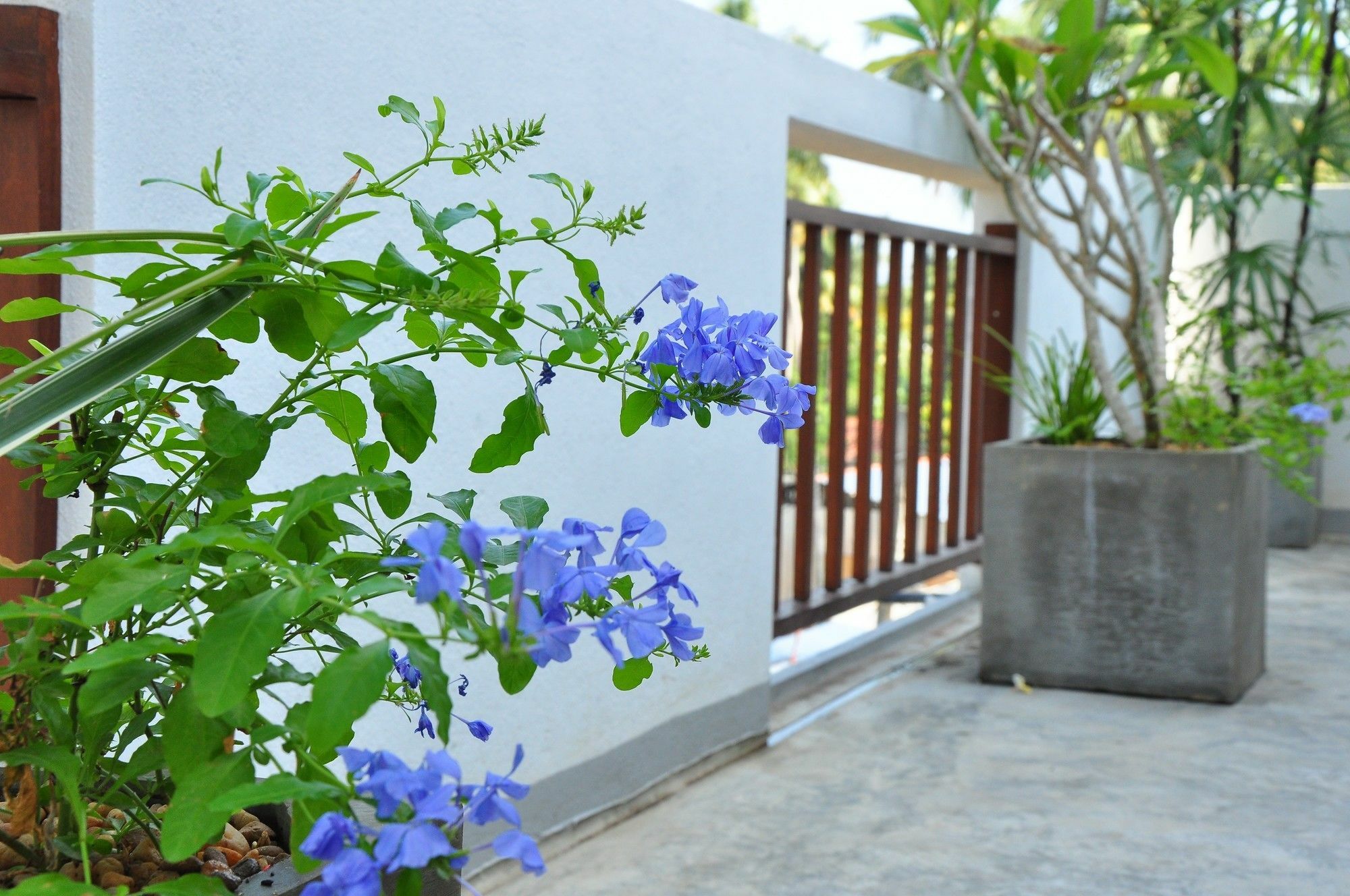 Brizo Weligama Hotel Kültér fotó